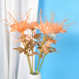 2021 new gold flowers artificial home decoration activities with simulation epiphyllum decoration