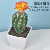 2021Antique Emulation Cactus Plant Pot Simulation Desert Plant Artificial Succulent Potted Plant For Store Decoration