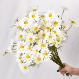 Simulated Dutch chrysanthemum European style sunflower wedding road floral arrangement home decoration stage set silk flowers