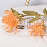 Single pin cushion flower simulation Epiphyllum plastic Claw Chrysanthemum wedding flower arrangement wholesale manufacturers