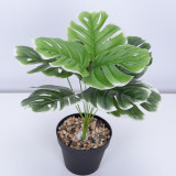 Simulation artificial green plant turtle leaf Nordic style creative simulation green plant potted ornaments decorative crafts