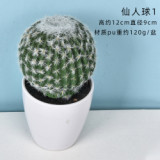 2021Antique Emulation Cactus Plant Pot Simulation Desert Plant Artificial Succulent Potted Plant For Store Decoration