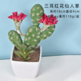 2021Antique Emulation Cactus Plant Pot Simulation Desert Plant Artificial Succulent Potted Plant For Store Decoration
