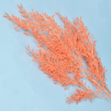 2021Wedding ceiling decoration flower arrangement simulation rime Albizzia plastic straw wheat ear