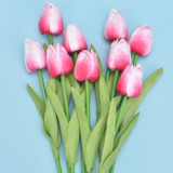 Factory Direct Sales Artificial Decorative Flowers Multicolor Flowers Decoration Simulated Tulip