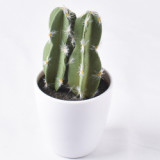 New products Originally designed and produced factory price and high quality white pot artificial potted cactus
