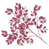 2021 High Quality Wedding Decoration Photography Props  Simulation Star Leaf Grass Artificial Plant Oak Leaves
