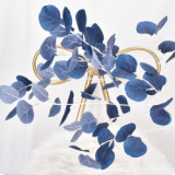 Wholesale Dried Preserved Apple Leaves Eucalyptus Leaves For Flower Arrangement