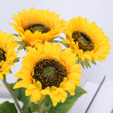 Manufacturer wholesale 46cm simulation flower single sunflower 10cm big flower head long branch decoration inserted sunflower