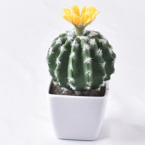 New products Originally designed and produced factory price and high quality white pot artificial potted cactus