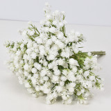 The manufacturer wholesales the simulation bouquet all over the sky star bride holding a plastic flower photography props