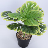 Simulation artificial green plant turtle leaf Nordic style creative simulation green plant potted ornaments decorative crafts