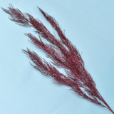 Factory Direct Sales Modern Home Decoration Flower Arrangement Supplies Decoration Simulated Phoenix Tail leaf