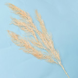 Factory Direct Sales Modern Home Decoration Flower Arrangement Supplies Decoration Simulated Phoenix Tail leaf