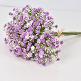 The manufacturer wholesales the simulation bouquet all over the sky star bride holding a plastic flower photography props