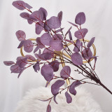 Wholesale Dried Preserved Apple Leaves Eucalyptus Leaves For Flower Arrangement