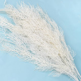 Factory Direct Sales Modern Home Decoration Flower Arrangement Supplies Decoration Simulated Phoenix Tail leaf
