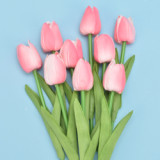 Factory Direct Sales Artificial Decorative Flowers Multicolor Flowers Decoration Simulated Tulip