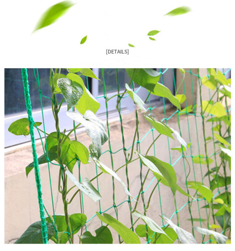 Garden Plants Climbing Rattan Net Melon Fruit Morning Glory Flower Climbing Rope For Climbing Vine Plants