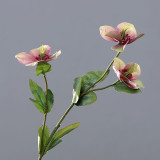Simulation 3D Christmas rose small single branch African desert flower home wedding artificial flower manufacturers wholesale
