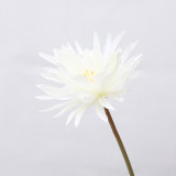 Home decoration wedding hall layout arch road lead decorative flower simulation flower long branch Epiphyllum