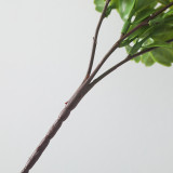 Simulated green plant single branch boxwood home decoration artificial plant flower arrangement bonsai photography cross border