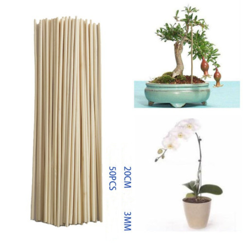 50pc Garden Suppliers Bamboo Stick Plant Growth Supporting Rod Small Bonsai Vine Gardening Sticks Tools