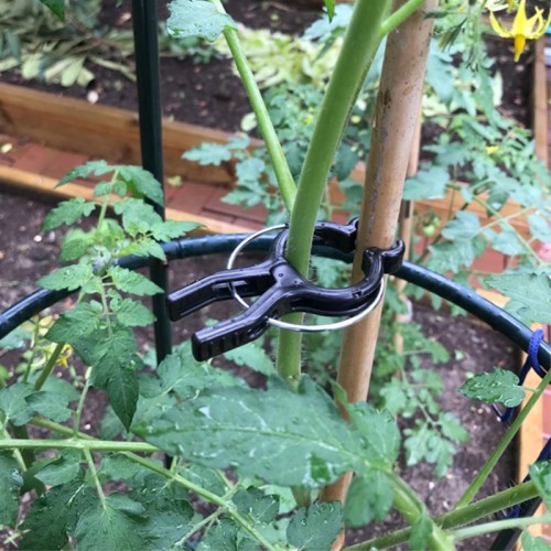 Plastic PP Garden Plant Tomato Spring Holder Clips