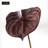 Eva pink small size simulation flower plant potted large anthurium