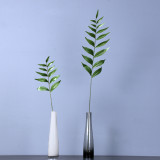 Single toothed green plants in northern Europe contracted home window decoration emulation of wind shadow leaves
