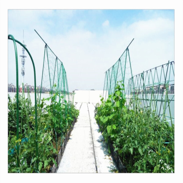 Household creeper net gardening net supported by plants