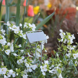 Metal Stainless Steel Plant Seedling Labels Handwritten Signs Garden Signs Reusable Gardening Flower Arrangement Signs