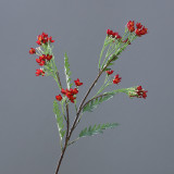 American garden simulation flower 5 petals full star hotel home decoration simulation flower