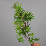 Simulation plastic handmade green planting wedding landscaping garden engineering decoration branch simulation single long maple