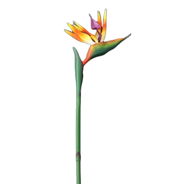 Simulation plant bonsai floor decoration PVC handle plastic bird of paradise
