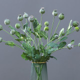 American idyllic wind shooting props home decoration flowers simulation fruit poppy fruit