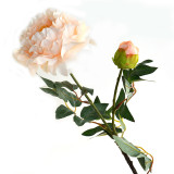 Hot Selling Living Room Decoration Flower Artificial Flowers Simulated Peonies For Home Decoration