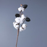 Handheld home decor bottle flower simulation of a single long stem natural cotton dried flowers