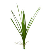 Simulated plant cymbidium leaf leaf artificial flower garden decoration wedding photography ornaments