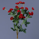 Holding wedding photography simulation of a small rose home to bouquet of Chinese rose