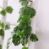 The green plant wall hangs adornment simulates the plant turtleback leaf rattan