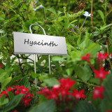 Stainless Steel Metal Plant Signs Flower Pot Potted Plant Marking Gardening Tools Sign Plate