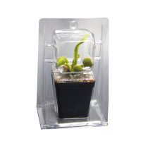 Succulent Plant Professional Packaging Transport Box Transparent Plastic Containers Storage Pvc Packaging Box