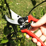 Gardening Hand Pruning Shears Grafting Scissors Pruning Tools