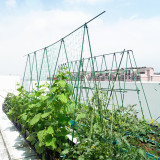 Household creeper net gardening net supported by plants