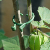 2.0 mm Garden Plant Support Plastic Ring Clips