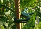 Durable Plastic Plant Support Clips For Types Plants Hanging Vine Garden Greenhouse Vegetables Garden Ornament Home Garden