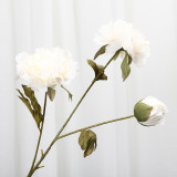 Simulate 3 immortal peach peony wedding rose ceiling flower row lead home decoration artificial flowers