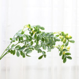 Home decoration green plant shooting props simulation leaves soft plastic locust leaves