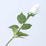 Spot Wholesale Artificial Flower Multicolor Artificial Feel Moisturizing Rose Decoration For Wedding